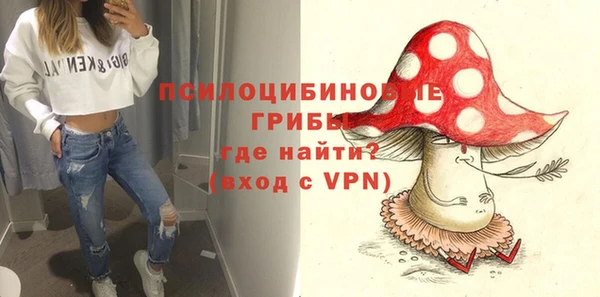 стаф Белоозёрский