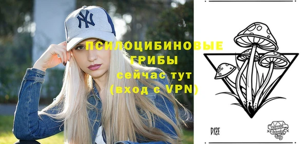 амф Беломорск