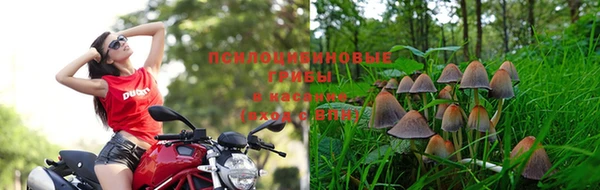 амф Беломорск